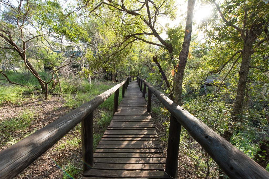 Ndzhaka Tented Camp Manyeleti Game Reserve Exterior foto