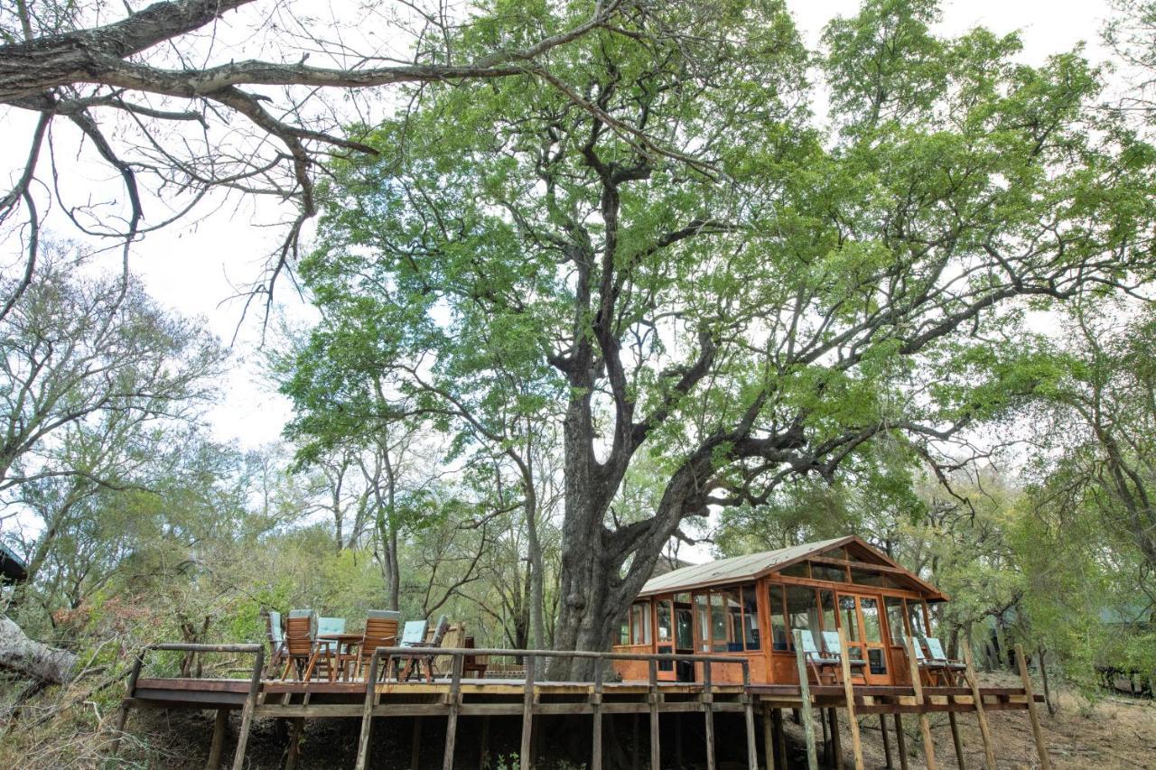 Ndzhaka Tented Camp Manyeleti Game Reserve Exterior foto