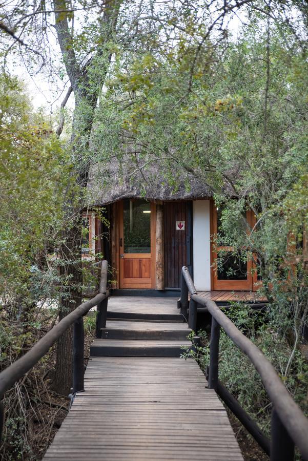 Ndzhaka Tented Camp Manyeleti Game Reserve Exterior foto